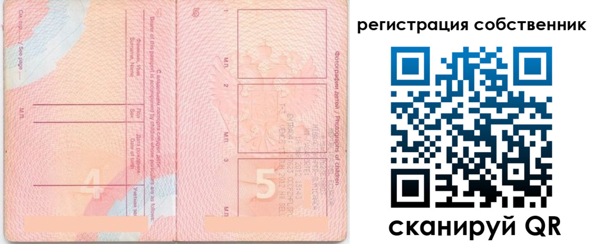 прописка ребенка в Трёхгорном